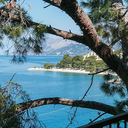 Apartments by the sea Brela, Makarska - 16950 Bagian luar foto