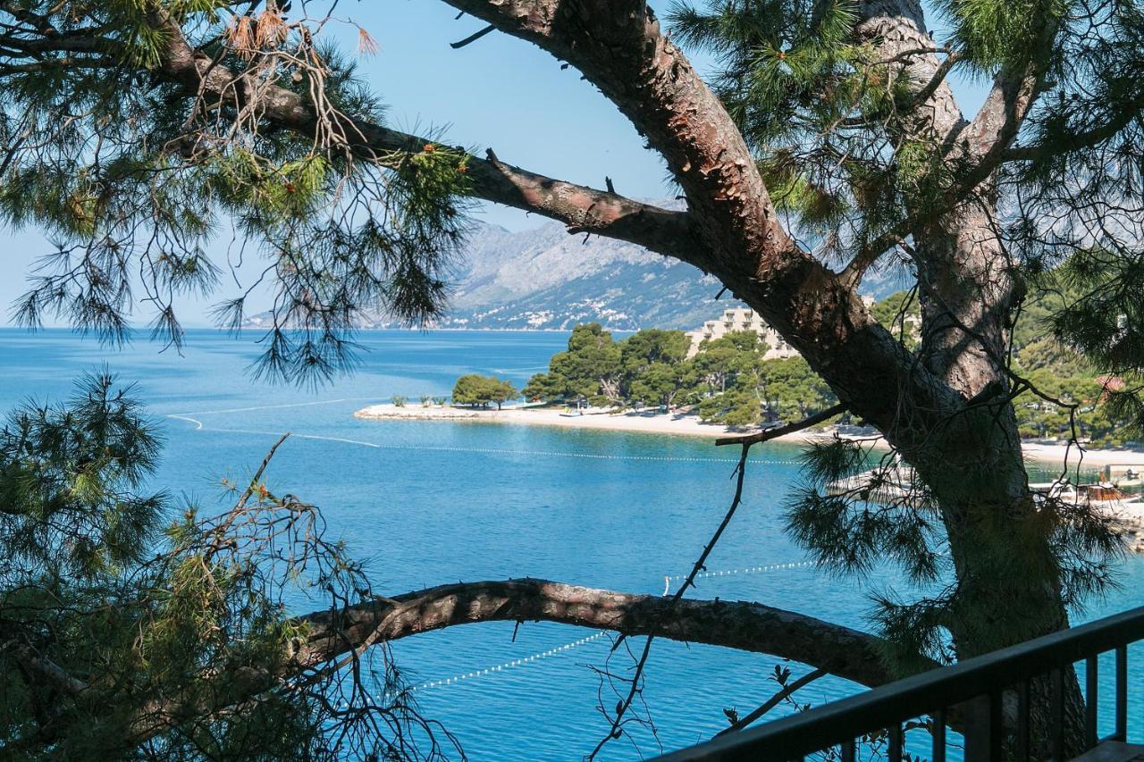 Apartments by the sea Brela, Makarska - 16950 Bagian luar foto