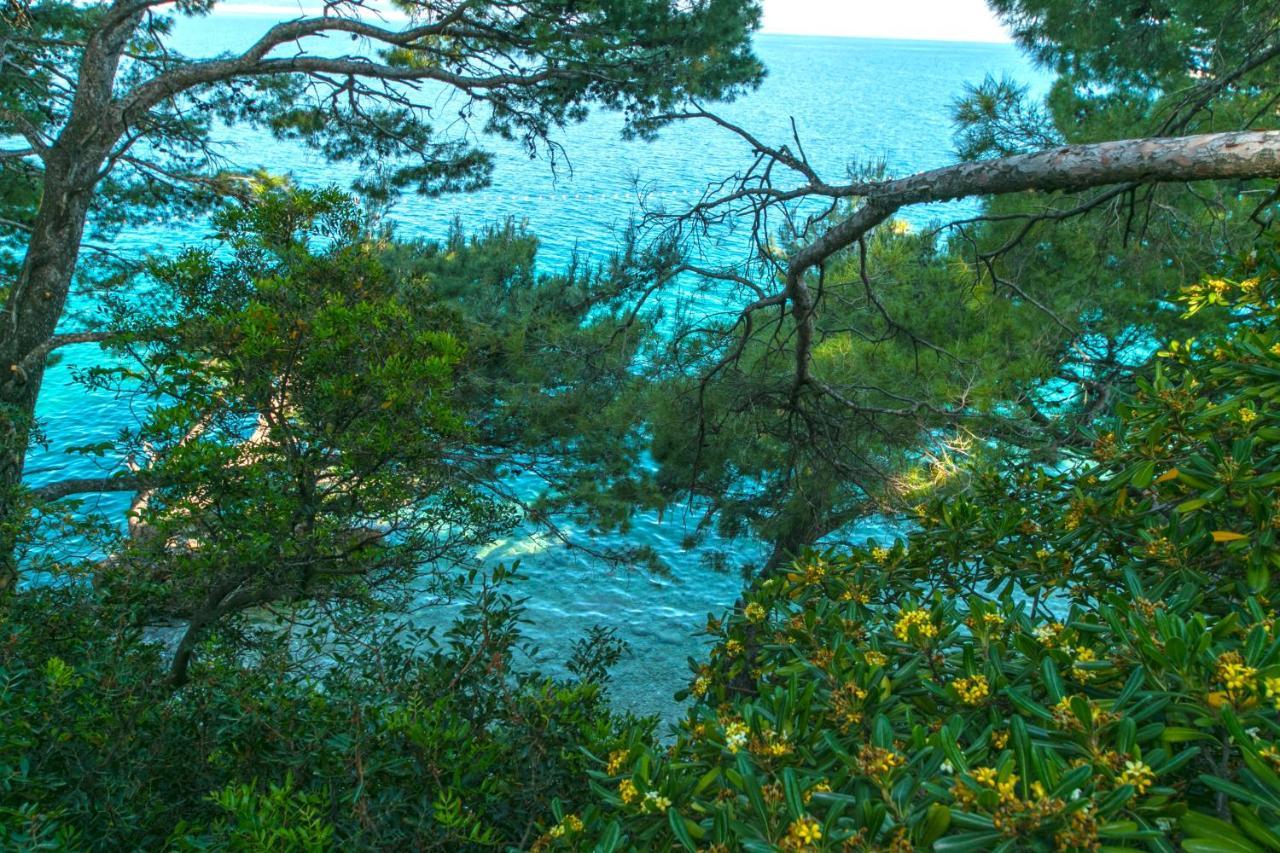 Apartments by the sea Brela, Makarska - 16950 Bagian luar foto