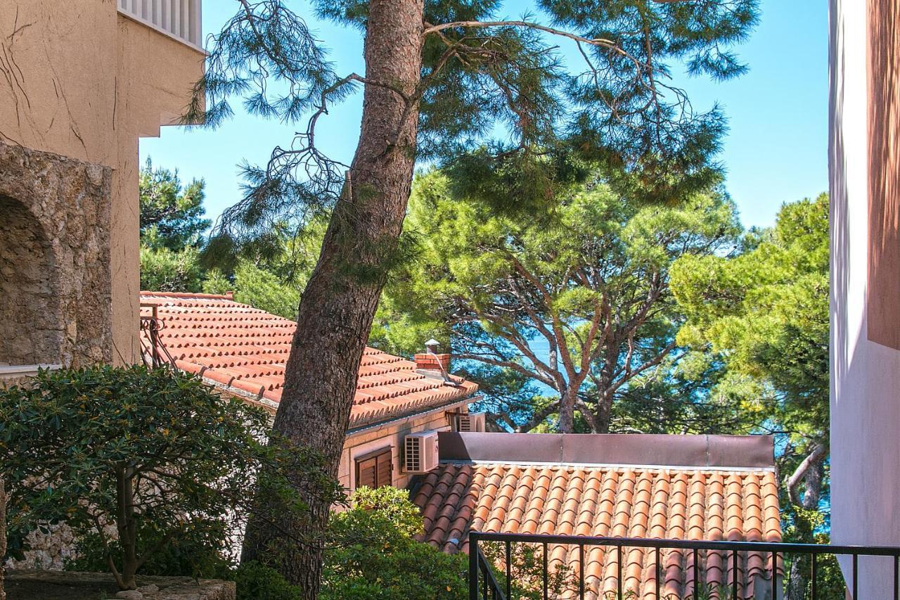 Apartments by the sea Brela, Makarska - 16950 Bagian luar foto